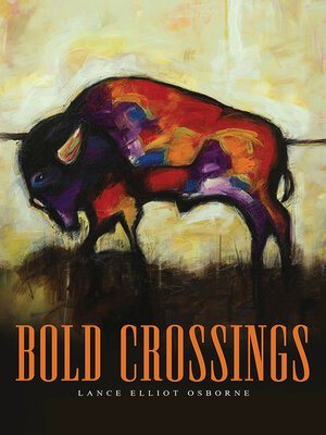 cover image of Bold Crossings